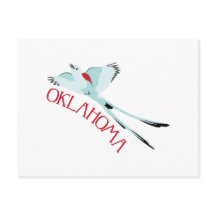 オクラホマのシザーテール