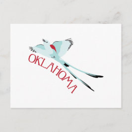 オクラホマのシザーテール ポストカード