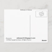 オクラホマの葉書の野草 ポストカード (裏面)