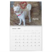 オクラホマシティ動物保護施設の犬カレンダー カレンダー (1月 2027)