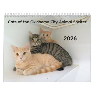 オクラホマシティ動物保護施設の猫2026 カレンダー