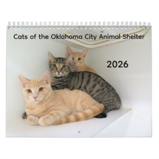 オクラホマシティ動物保護施設の猫2026 カレンダー