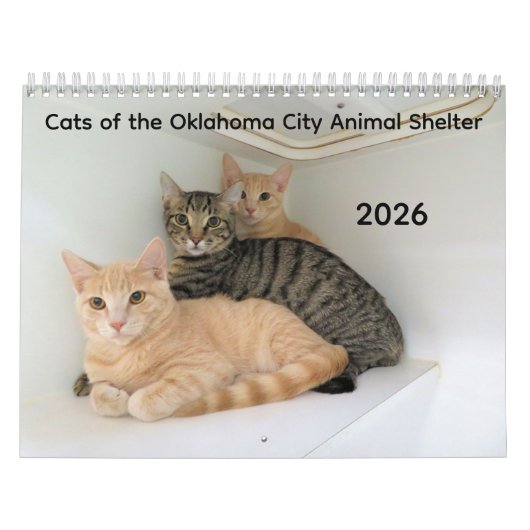 オクラホマシティ動物保護施設の猫2026 カレンダー (カバー)
