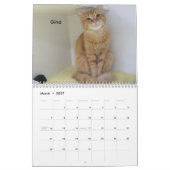オクラホマシティ動物保護施設の猫2026 カレンダー (3月 2027)