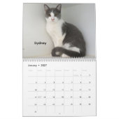 オクラホマシティ動物保護施設の猫2026 カレンダー (1月 2027)