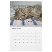 オクラホマシティ動物保護施設の猫2026 カレンダー (2月 2027)