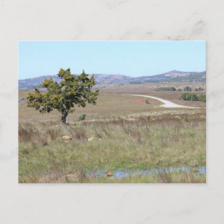 オクラホマズウィッチタワイルドライフ避難所 ポストカード