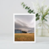 オクラホマ嵐 ポストカード (スタンド正面)