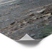 オクラホマ州のゴーイングナット ポスター (角)