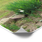 オクラホマ州のツツジ ポスター (角)