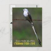 オクラホマ州の鳥：ハサミ尾のトカゲヒバリ ポストカード (正面/裏面)