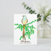 オクラホマ州バードシザーテイルフライキャッチャー ポストカード (スタンド正面)