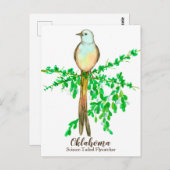 オクラホマ州バードシザーテイルフライキャッチャー ポストカード (正面/裏面)