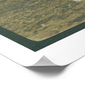 オクラホマ・カリーのブルドーグ。 ポスター (角)