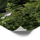 オクラホマ、ターナー秋ズウォーターフォール ポスター (角)