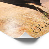 オクラホマ・ビソン、レベッカ・アルスベリー撮影2011 フォトプリント (角)