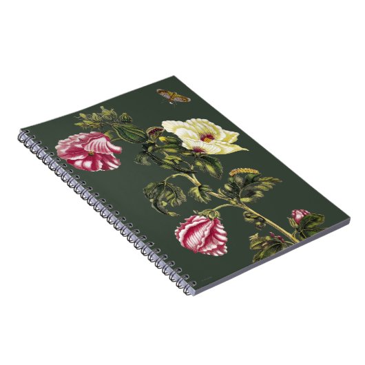 オクラ ノートブック (右側)