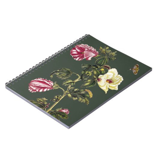 オクラ ノートブック (左側)