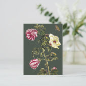 オクラ ポストカード (スタンド正面)