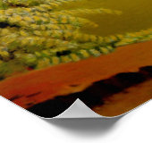 オグスタ・ミズーリの美しい農場のぶどう畑ポスター ポスター (角)