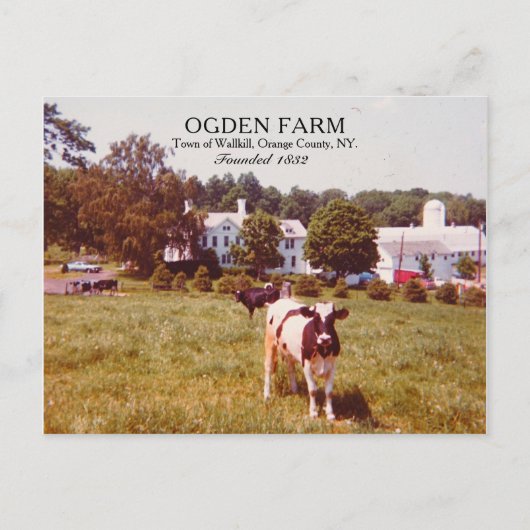オグデンファームタウンオブウォルキルオレンジカウンティNY 1980 ポストカード (正面)