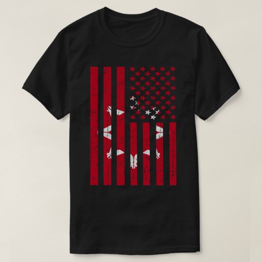 オグラララコタアメリカ国旗Essential T-Shirt.png Tシャツ (デザイン正面)