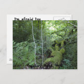 オグルベイ公園, ウェストバージニア州 ポストカード (正面/裏面)