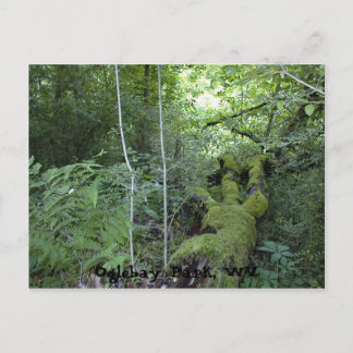 オグルベイ公園, ウェストバージニア州 ポストカード