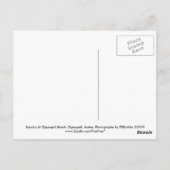 オグンクイットビーチオグンクイットメイン ポストカード (裏面)