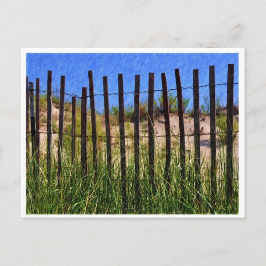 オグンクイットビーチメイン ポストカード (正面)