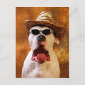 オグ！ ポストカード (正面)