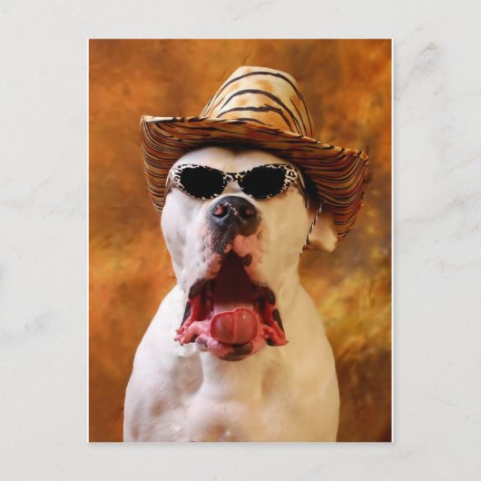 オグ！ ポストカード (正面)