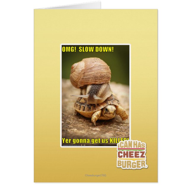 オグ！落ち着け！ (正面)