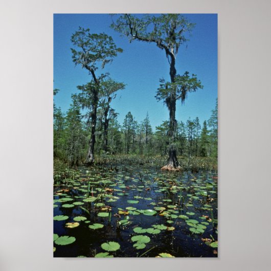 オケフェノキー国立野生生物保護区 ポスター (正面)