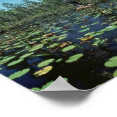 オケフェノキー国立野生生物保護区 ポスター (角)