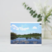 オケフェノキー国立野生生物保護区 ポストカード (スタンド正面)