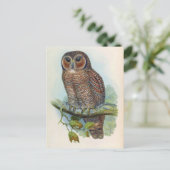 オケラタン材（斑入りフクロウ） ポストカード (スタンド正面)