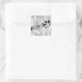 オコク火山のプルーム，アリューシャン諸島2 スクエアシール (バッグ)