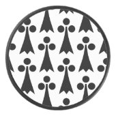 オコジョの模様, 中世の模様, 白地に黒 アイスホッケーパック (正面)
