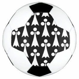 オコジョの模様, 中世模様, 黒地に白 サッカーボール