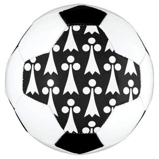 オコジョの模様, 中世模様, 黒地に白 サッカーボール (正面)