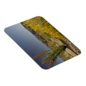 オコティヨと砂漠セナ マグネット (右側)