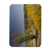 オコティヨと砂漠セナ マグネット (縦)