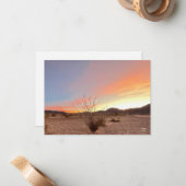 オコティロサンライズ ノートカード (正面/裏面インサイチュ)