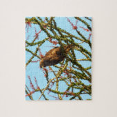 オコティロブッシュの未熟な赤尾のタカ ジグソーパズル (縦)