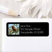 オコティロブッシュの未熟な赤尾のタカ ラベル (インサイチュ)