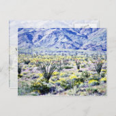 オコティーヨと砂漠の花が咲く ポストカード (正面/裏面)