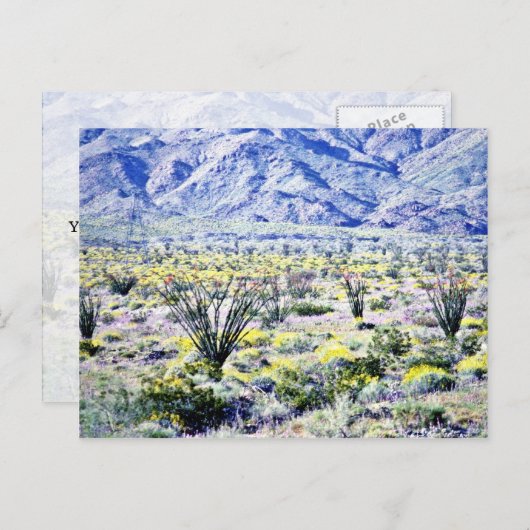 オコティーヨと砂漠の花が咲く ポストカード (正面/裏面)