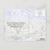 オコティーヨと砂漠の花が咲く ポストカード (裏面)