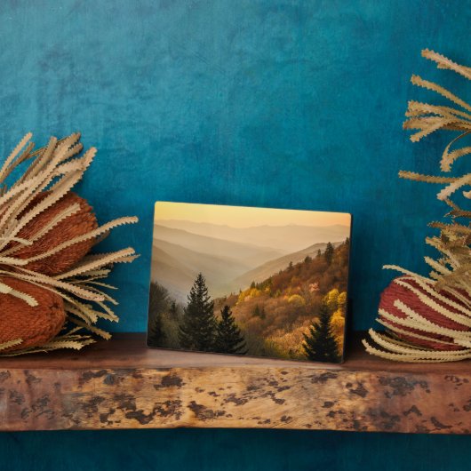 オコナルフティバレーオーバービュー |ノースカロライナ フォトプラーク (側面)